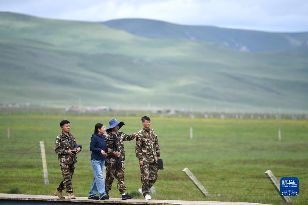 捕鱼大师官网